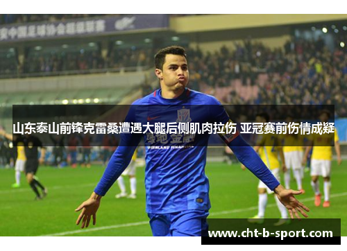 山东泰山前锋克雷桑遭遇大腿后侧肌肉拉伤 亚冠赛前伤情成疑 山东泰山前锋克雷桑遭遇大腿后侧肌肉拉伤 亚冠赛前伤情成疑