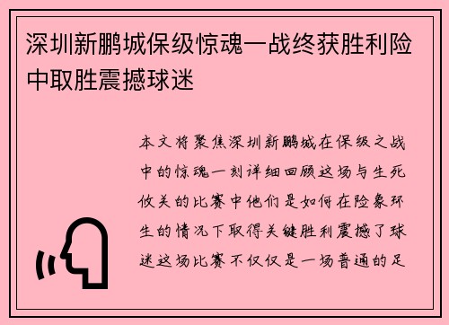深圳新鹏城保级惊魂一战终获胜利险中取胜震撼球迷 深圳新鹏城保级惊魂一战终获胜利险中取胜震撼球迷